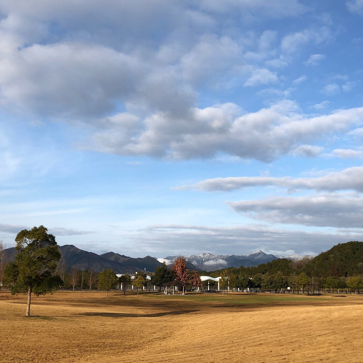 🌳 산단이케 공원 (산단이케 코엔) 이미지 4